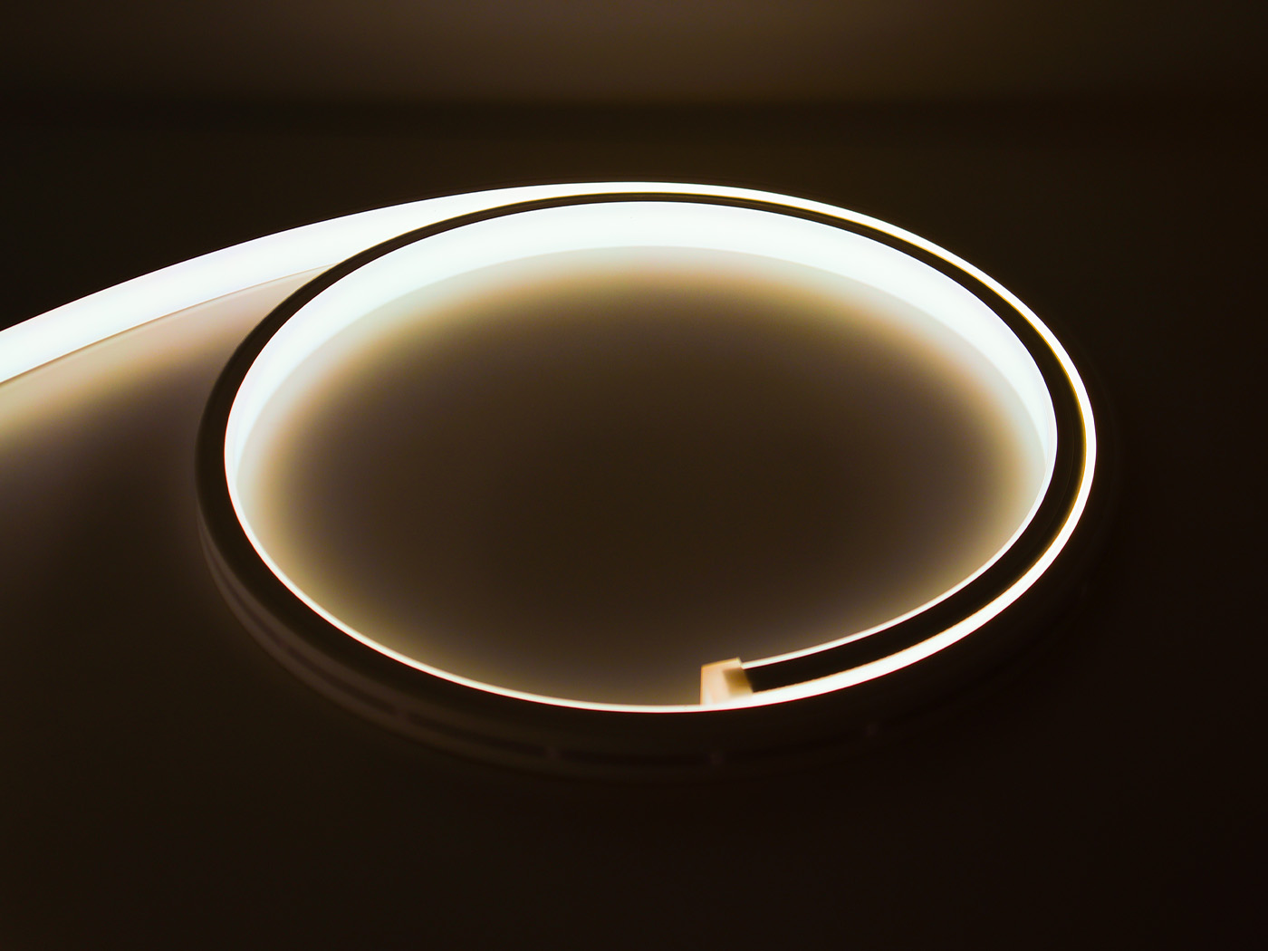 1616 IP65 IP67 Top Bending Neon LED Strip Lights for Indoor and Outdoor Decoration
