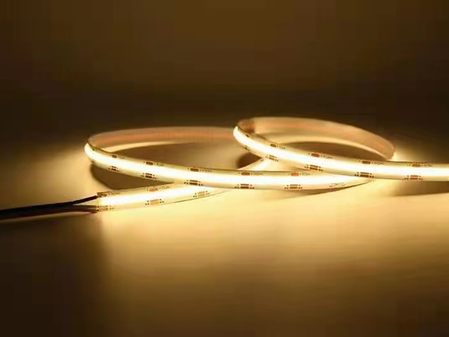 Dimmable Dual Color COB LED Strip 12V 24V for Bedroom/Living Room