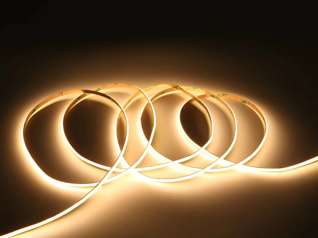 Single Color COB LED Strip 12V 24V IP20 IP44 IP65 5mm 8mm 10mm for Home Decoration